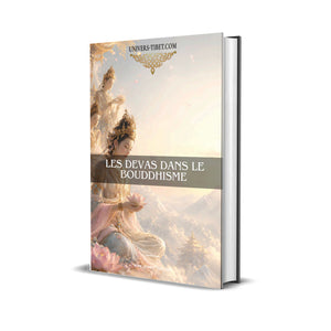Couverture du Guide Les Devas dans le
boudhisme