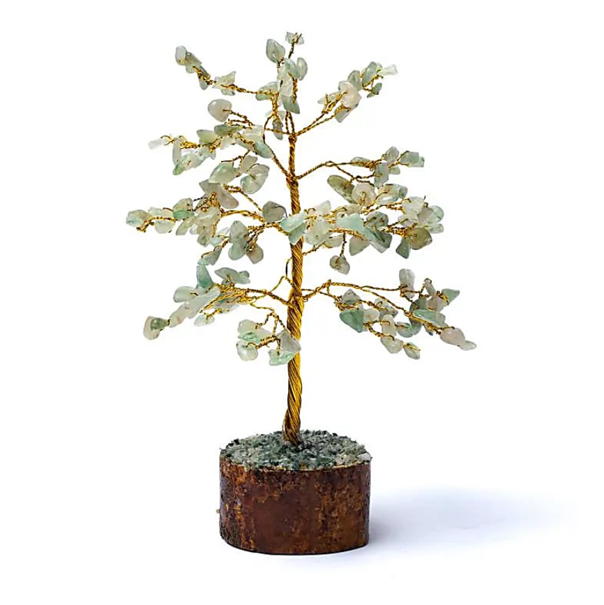 Árbol de la Piedra de la Arena - Mundo Tibet