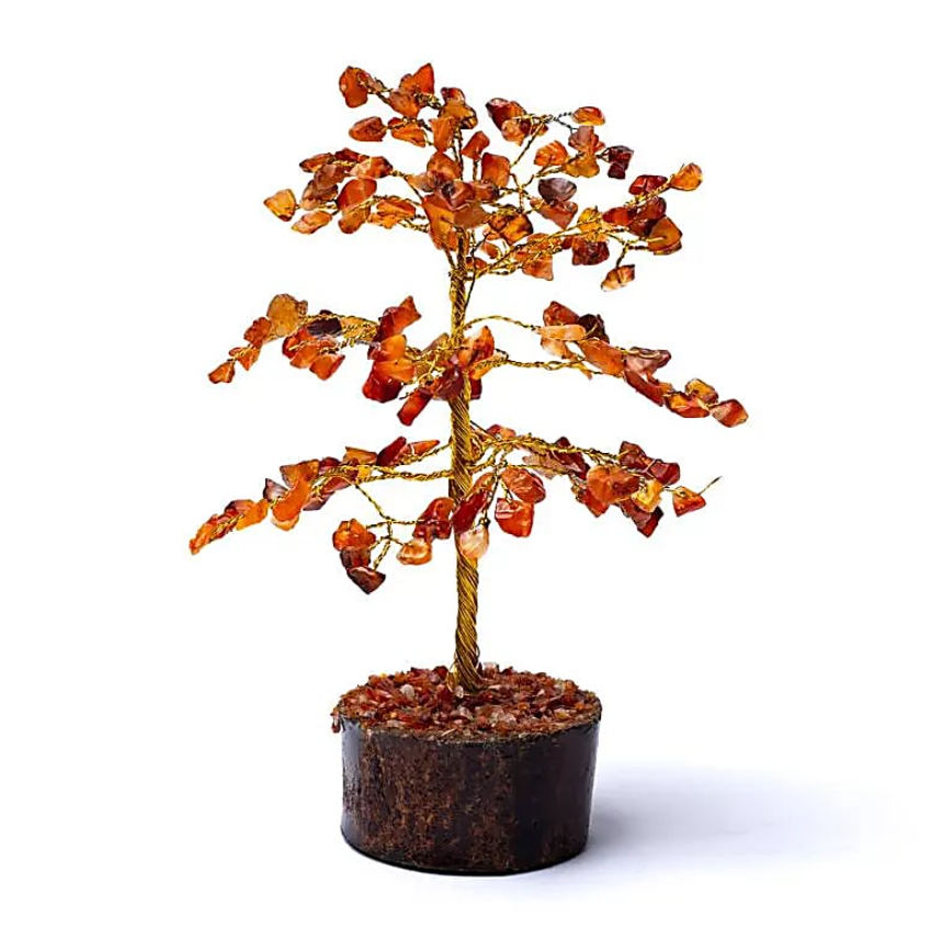 Árbol de la Cornalina - Mundo Tibet