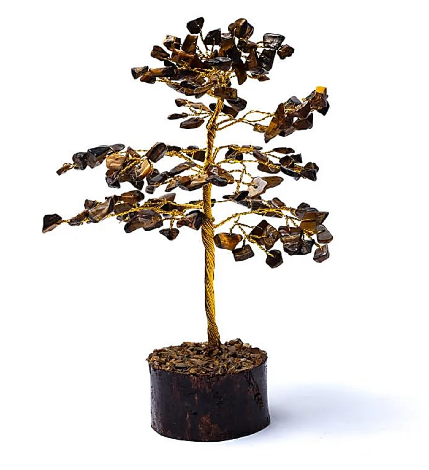 Árbol Ojo de Tigre - Mundo Tibet
