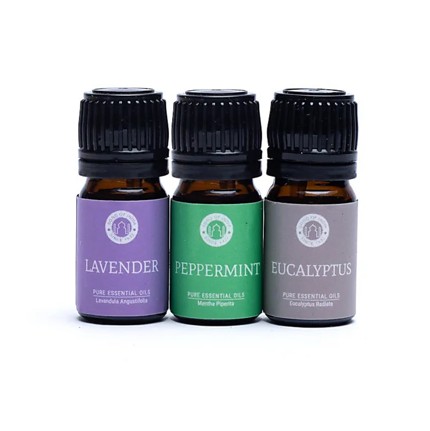 Trois flacons d’huiles essentielles alignés (lavender, peppermint, eucalyptus) sur fond blanc, chacun avec étiquette colorée et bouchon noir. Coffret Huiles Essentielles Respiration et purification.