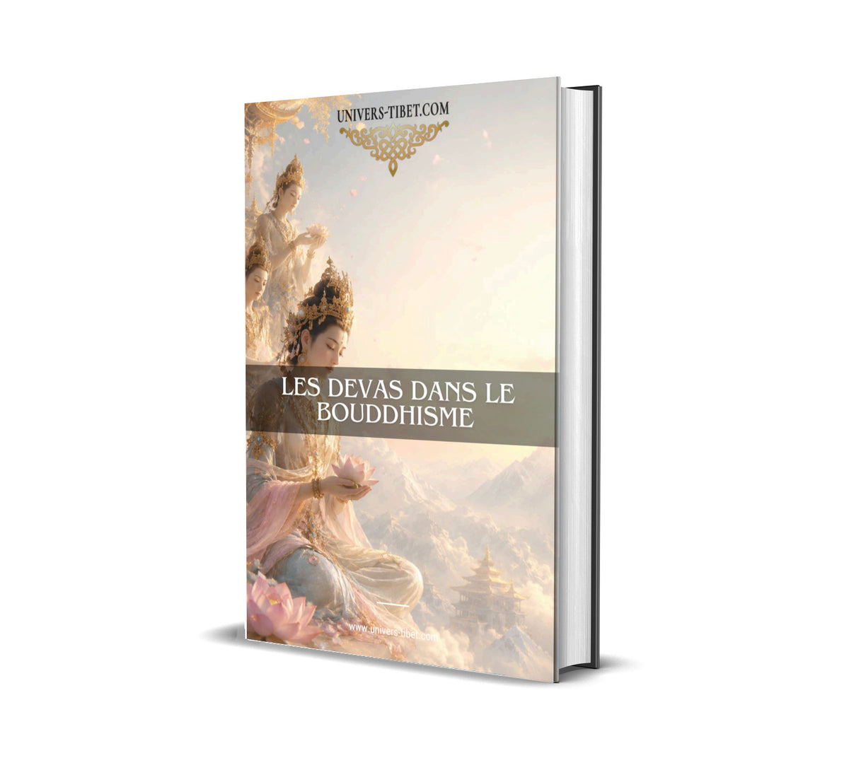 Couverture du Guide Les Devas dans le 
boudhisme