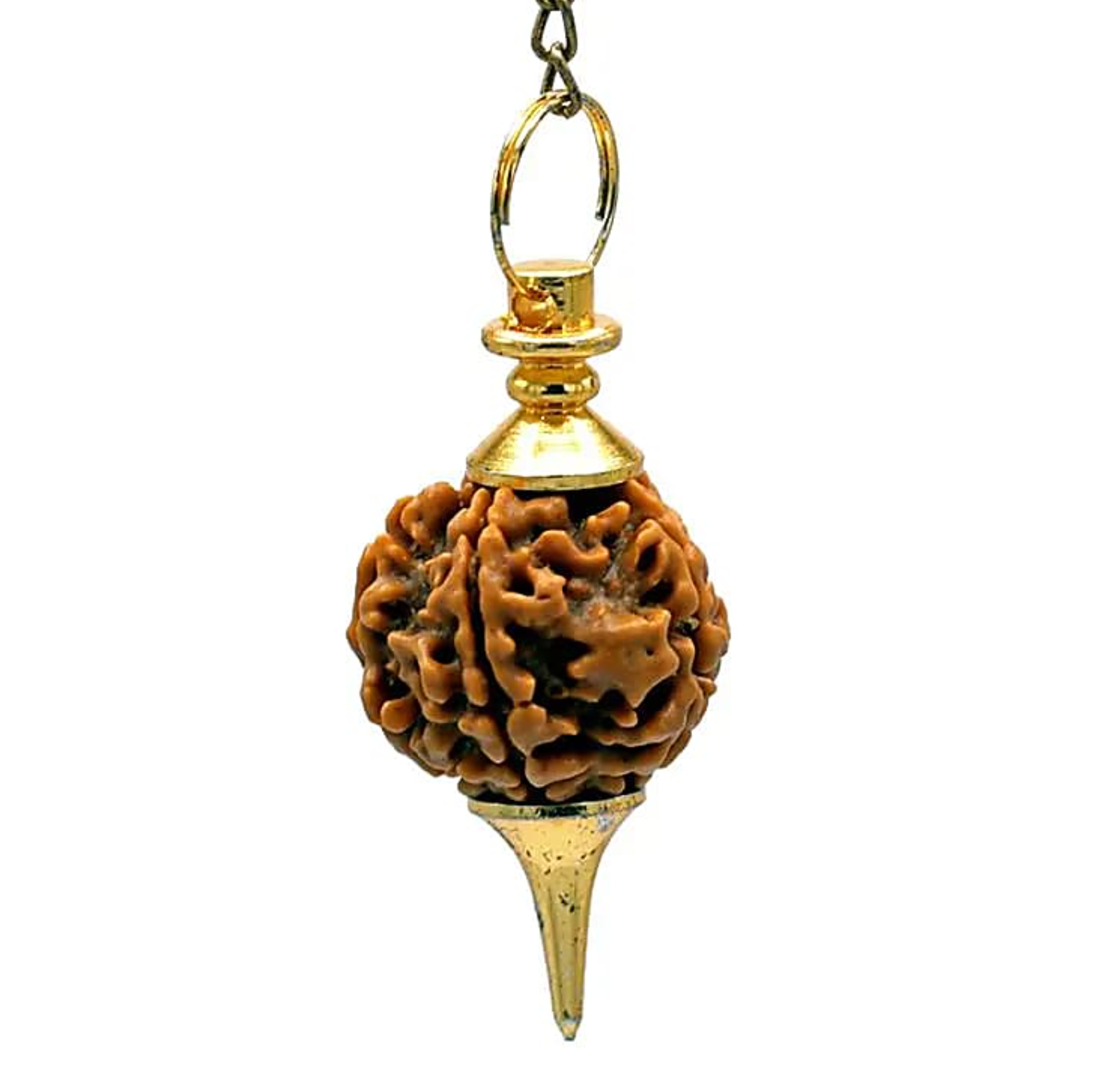Reloj de pared dorado con Rudraksha - Mundo Tibet