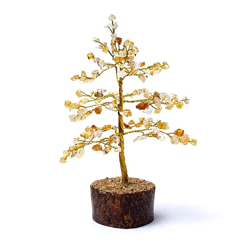 árbol de ámbar - Mundo Tibet