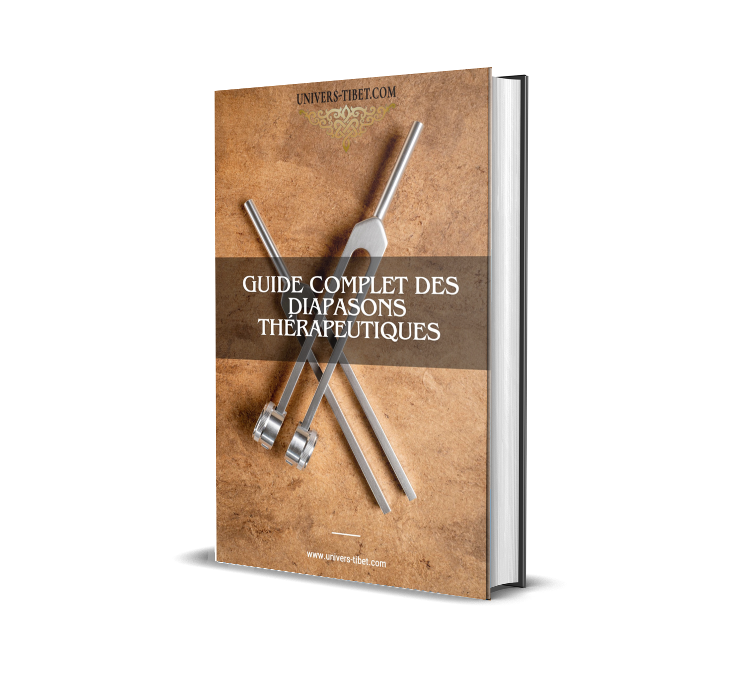 Couverture du guide des diapasons thérapeurtiques 